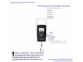 high-precision-hanging-weighing-scale-small-0