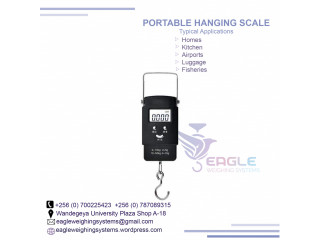 High-Precision Hanging Weighing Scale