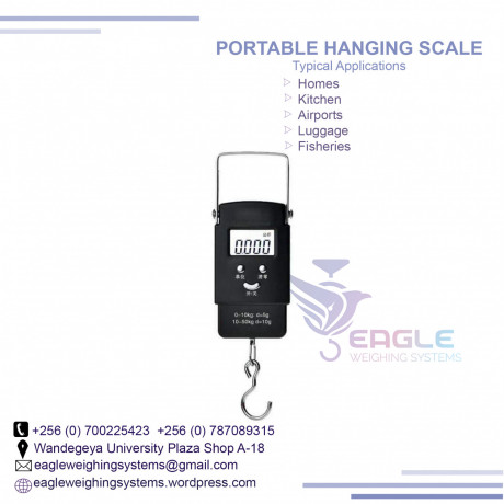 high-precision-hanging-weighing-scale-big-0