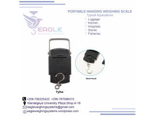 Hook scales for weighing fish