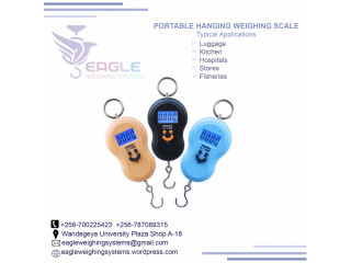 Luggage electronic weighing scale