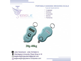 Digital Luggage Portable Electronic Weighing Scales