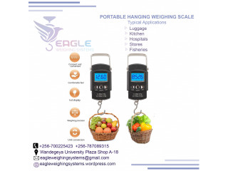 Digital Hanging Luggage Weight Scale