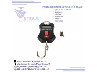 High Precision Hanging Digital Scale