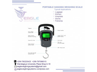 Mini electronic hanging luggage scale