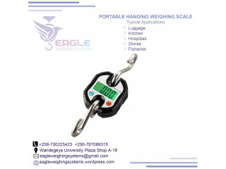 Digital Hanging Weighing Portable Scales