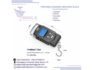 Portable pocket electronic hanging luggage scales