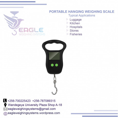 luggage-electronic-scale-with-capacity-50kg-big-0