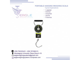 Luggage manual hanging scale