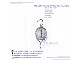 Spring mechanical weight balance scale