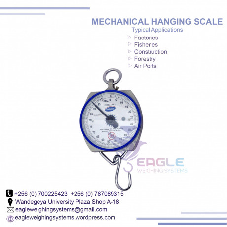 100kg-mechanical-hand-weighing-scales-big-0