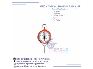 Manual weighing hanging scales