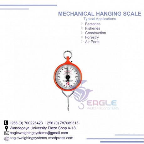 manual-weighing-hanging-scales-big-0