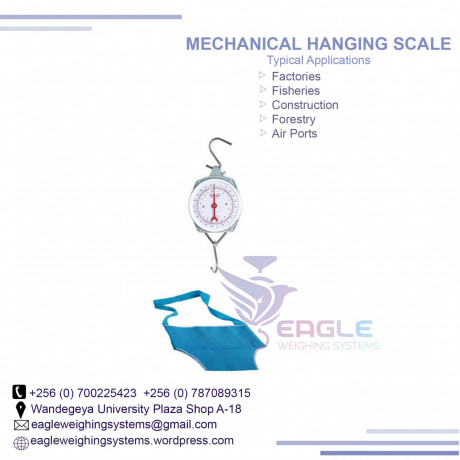 25kg-mechanical-hanging-baby-scales-big-0