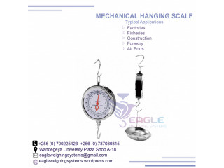 Manual weighing hanging baby salter weighing scales