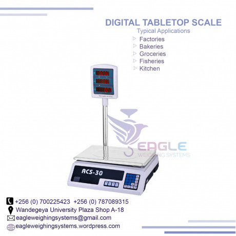 electronic-weighing-counting-computing-table-scales-big-0