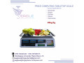 commercial-table-top-weighing-scales-small-0