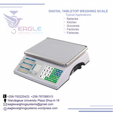 waterproof-type-stainless-steel-weighing-scales-big-0