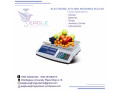 industrial-electronic-digital-weighing-scales-small-0