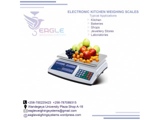 Industrial electronic digital weighing scales