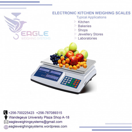 industrial-electronic-digital-weighing-scales-big-0