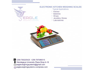 Waterproof precise table top scale