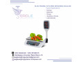 table-top-bench-weighing-scales-small-0
