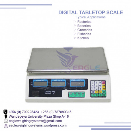 high-accuracy-counting-scales-big-0
