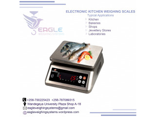 Stainless steel table top waterproof weighing scales