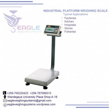 weighing-scales-company-in-uganda-big-0