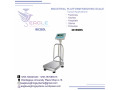 weighing-scales-shop-in-uganda-small-0