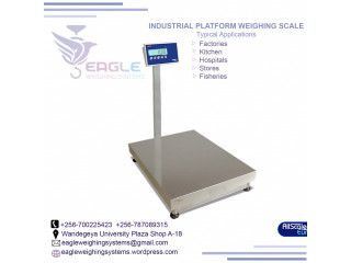 Electronic Industrial platform scales