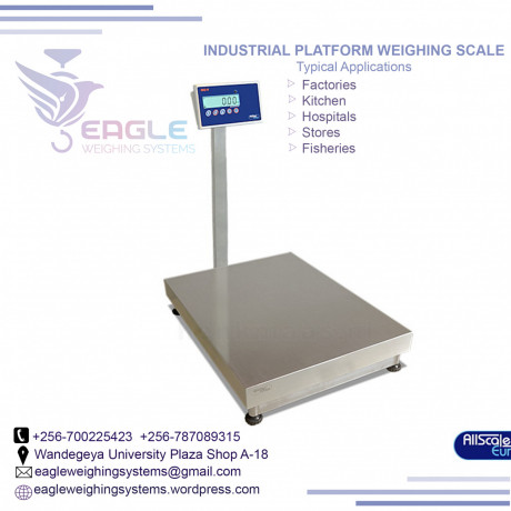 electronic-industrial-platform-scales-big-0