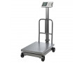 electronic-price-computing-platform-scales-small-0