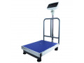 stainless-steel-digital-electronic-scales-small-0