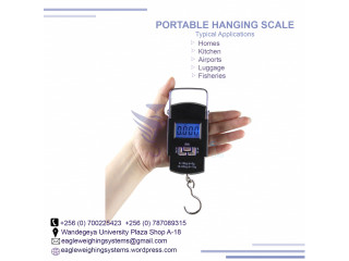 Luggage Electronic Scale with Capacity 50kg