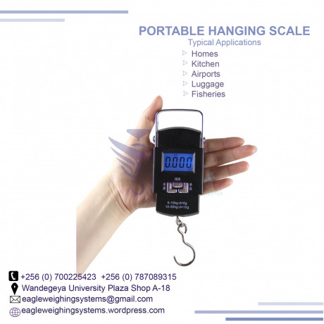 luggage-electronic-scale-with-capacity-50kg-big-0