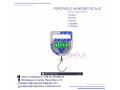 salter-weighing-scales-spring-mechanical-weight-balance-small-0