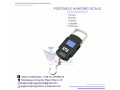 high-periscion-hanging-weighing-balance-small-0