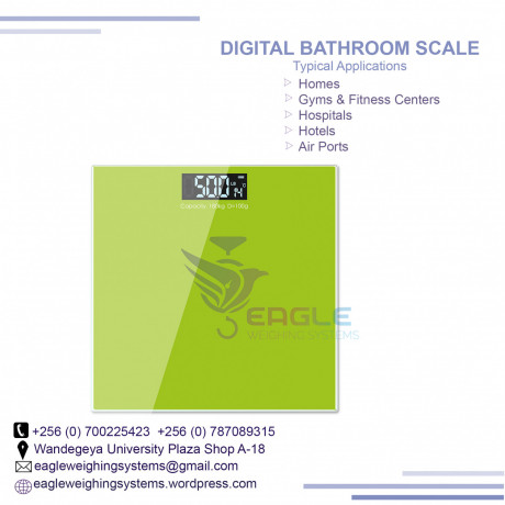 custom-designed-electronic-bodyweighing-scale-big-0