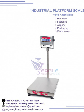 weighing-floor-scales-at-eagle-weighing-systems-ltd-big-0