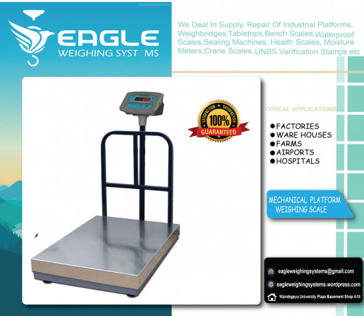 platform-weighing-scales-at-eagle-weighing-systems-ltd-big-0