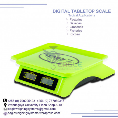 waterproof-weighing-scale-for-weighing-fish-big-0