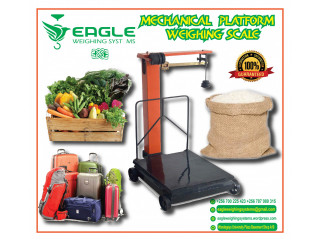 Electronic platform weighing digital scale/balance