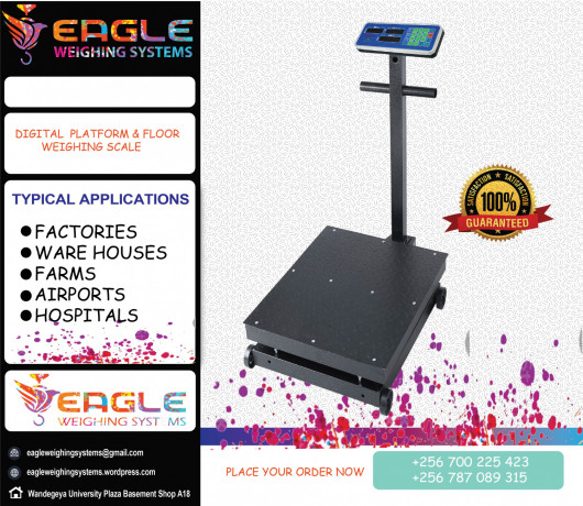 pet-platform-wegihng-scales-big-0