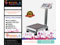 large-platform-electronic-dog-pet-scaleanimal-scalepostal-scale-small-0