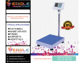 heavy-duty-platform-balance-weighing-scales-small-0