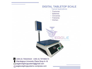 Stainless steel material table top weighing scales