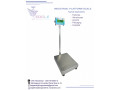 platform-weighing-scales-at-eagle-weighing-systems-ltd-small-0