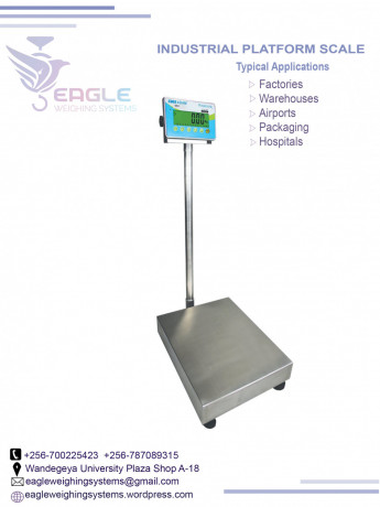 platform-weighing-scales-at-eagle-weighing-systems-ltd-big-0